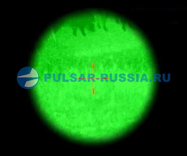 Картинка ночного прицела Pulsar Phantom 3x50 BW MD