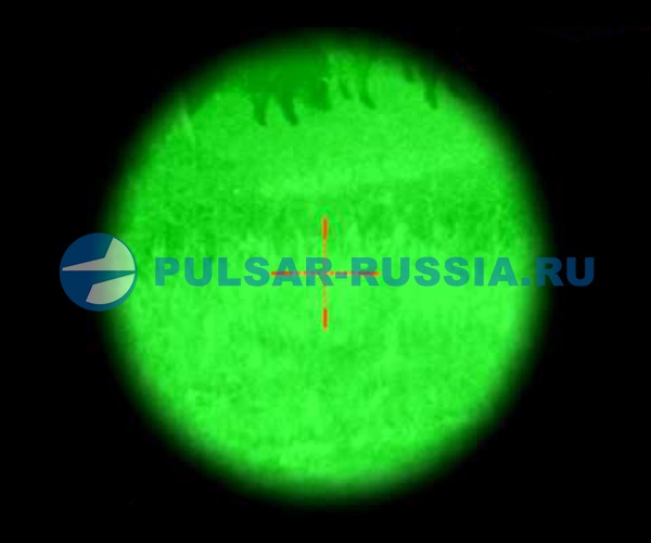 Картинка ночного прицела Pulsar Phantom 3x50